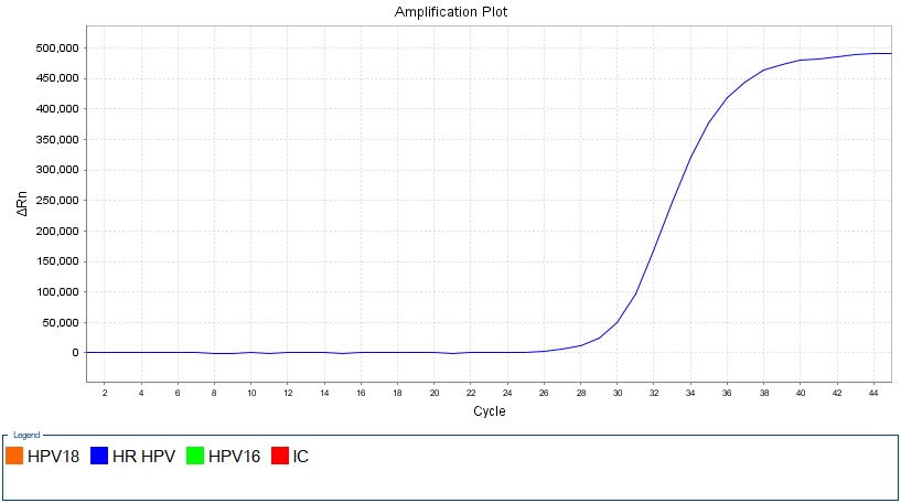 Hpv33