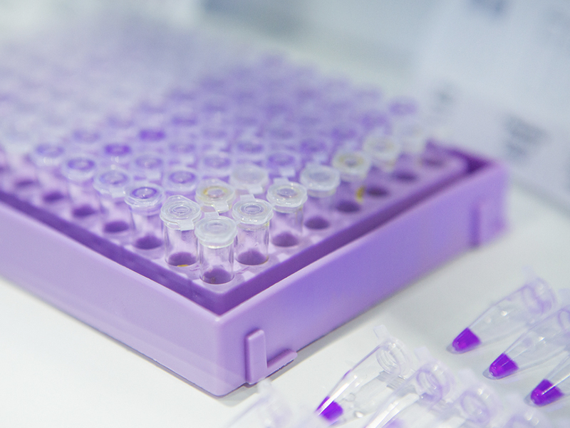 Système de PCR numérique, périphérique PCR portable