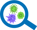Détection des agents pathogènes microbiens